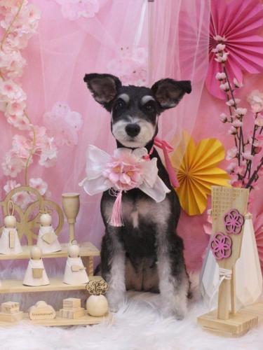 20230323音ちゃん